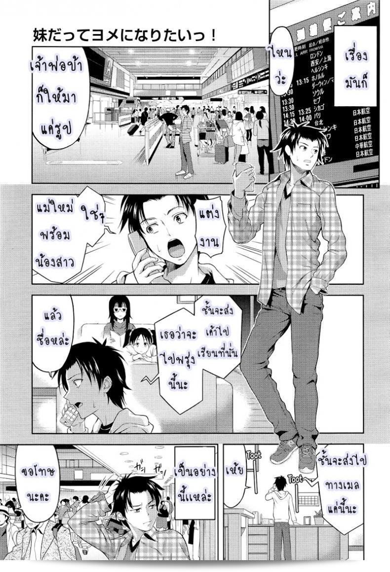 ฉันต้องการมีน้องสาวที่คุณภาพเพื่อภารกิจในโลกใบนี้ "Takano Yuki" Imouto Datte Yome ni Naritai! ภาค 1 1
