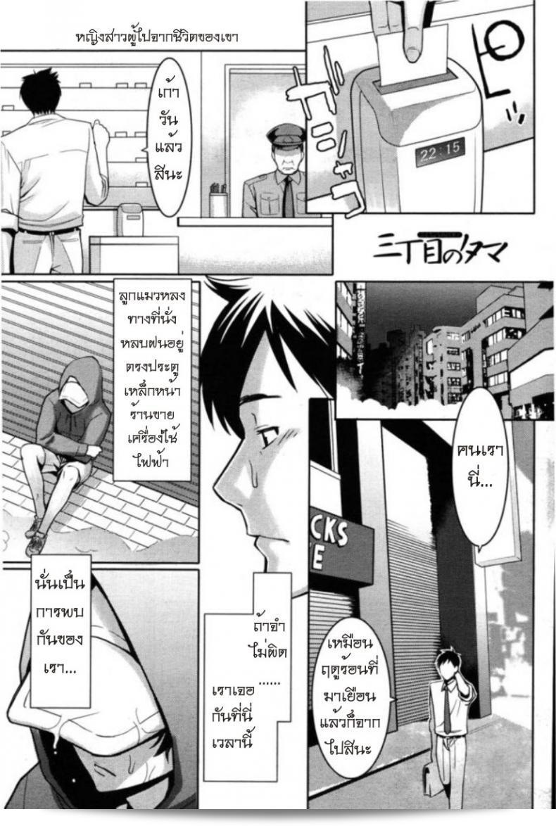 รักสาวไปรษณีย์ [Mikami Cannon] ทามะจากถนนที่สาม ภาค 2