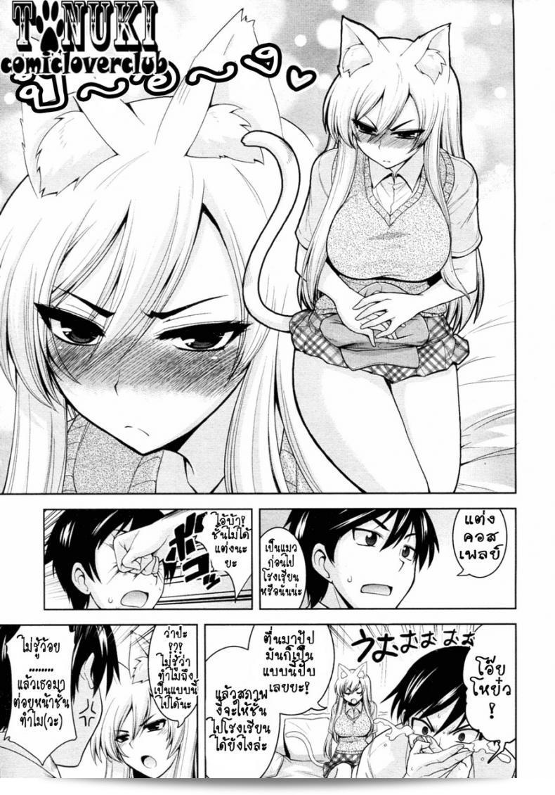 อลวนสาวหูจอมจุ้น (Yamata Shouji) - แท็บเปโกชีบุตสึ นากะ เฮ็น (Animal Crackers, สไตล์แมว) 9