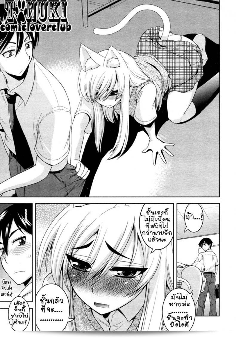 อลวนสาวหูจอมจุ้น (Yamata Shouji) - แท็บเปโกชีบุตสึ นากะ เฮ็น (Animal Crackers, สไตล์แมว) 13