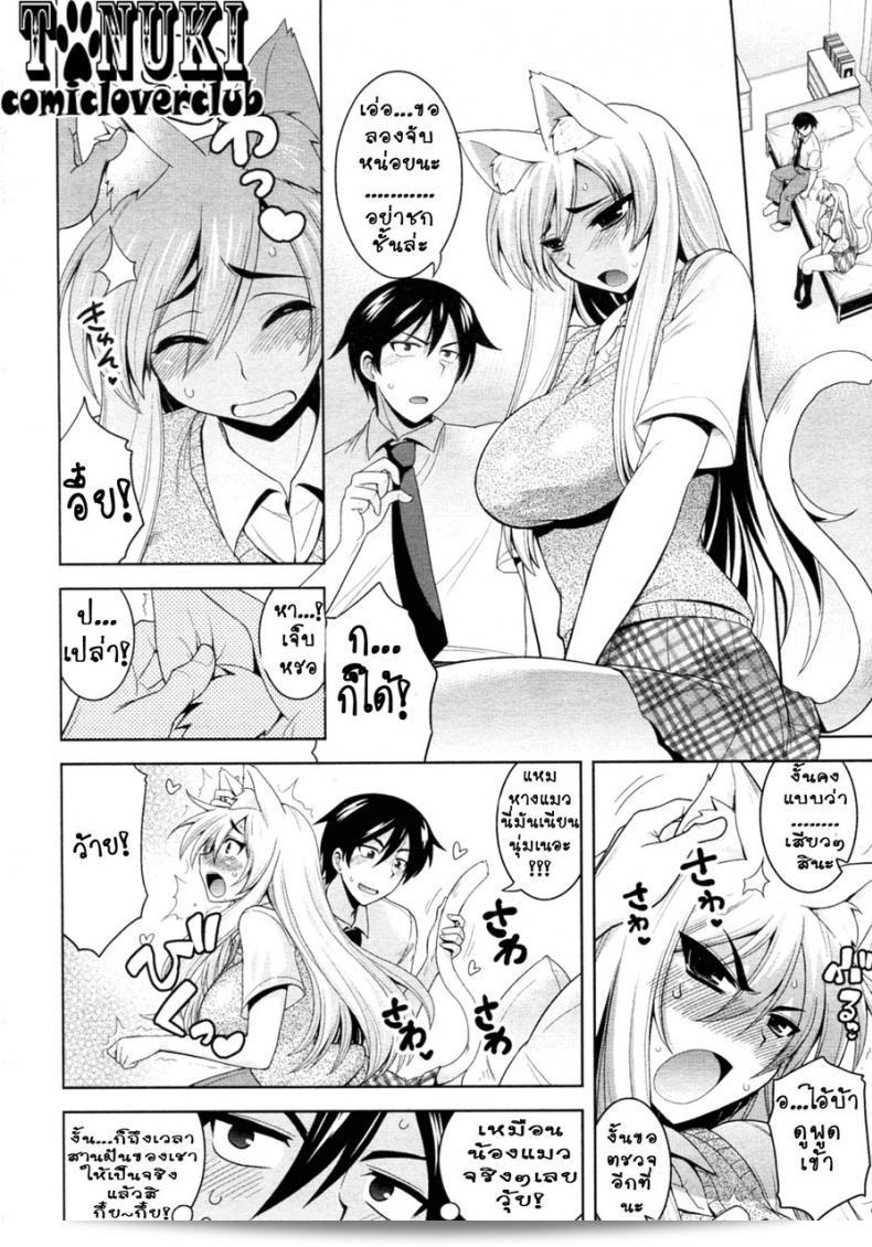 อลวนสาวหูจอมจุ้น (Yamata Shouji) - แท็บเปโกชีบุตสึ นากะ เฮ็น (Animal Crackers, สไตล์แมว) 15