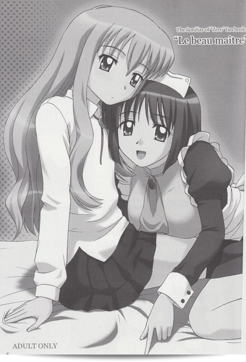 ไม่สามารถปรับแต่งได้เลย (C71) [G-Scan Corp. (Satou Chagashi)] Le beau maitre 1 (Zero no Tsukaima) 3