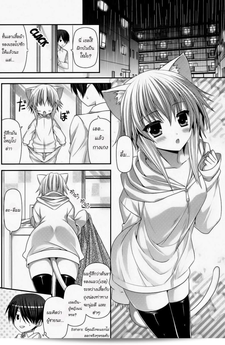 "เด็กหูแมว [Suigetsu Arumi] ลูกแมวเหงา (Comic Potpourri club 12-2012)" 3