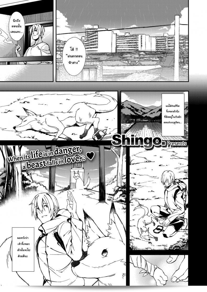 จิ้งจอกกำลังขอคำตอบถึงแทน [Shingo] A Fox's Requital