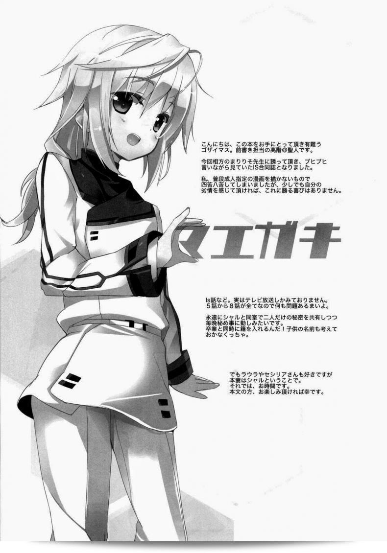 การทะยานฟ้าใน "Infinite Stratos - Ichika no Hentai" 7