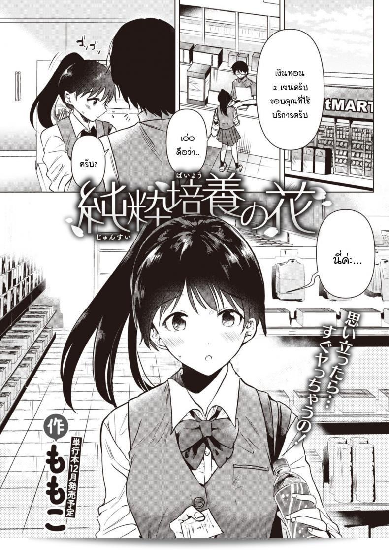 ดอกไม้ Momoko ให้ความหมายถึง "ดอกไม้บริสุทธิ์" ซึ่งเป็นคำที่มีความหมายเดียวกันกับ "บริสุทธิ์" และ Junsuibaiyou no hana  ถือเป็นภาษาญี่ปุ่นและได้อ่านว่า "ดอกไม้บริสุทธิ์สีขาว" เพื่อไม่ให้เสียความหมายของข้อความ ผมจึงทำการแปลตรงตามความหมายของข้อความภาษาญี่ปุ่นและปรับปรุงส่วนกลางอยู่ในระดับปานกลางเพื่อความเข้าใจที่ดีขึ้น