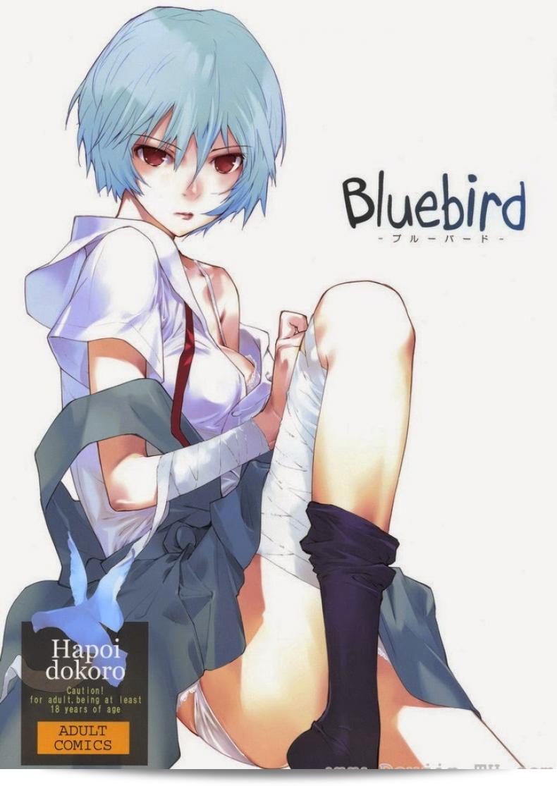 "นกสีน้ำเงิน (C77) โดย Hapoi-dokoro (Okazaki Takeshi) เป็นเพลงที่จูบแห่งร้อยเรื่องใน Neon Genesis Evangelion"