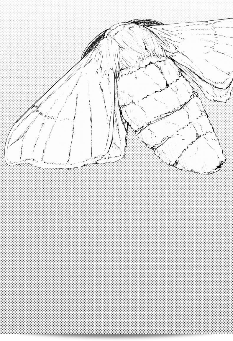ลำดับเรื่อง Sakekan Memorial (SOLOPIPB) ชื่อ "Shiragasane | Layers of White" ภาค 2 5