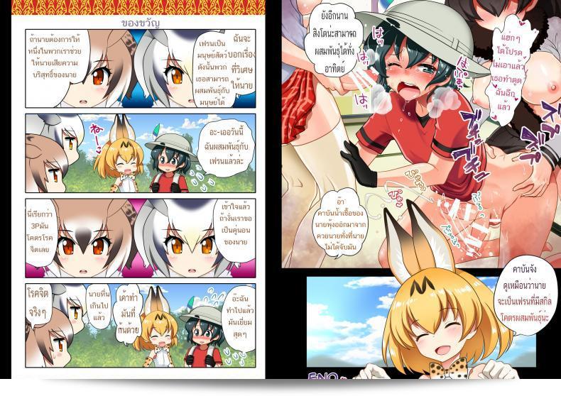 การผสมพันธุ์ระหว่าง Chinchin Kemokemo (uran-factory) 15