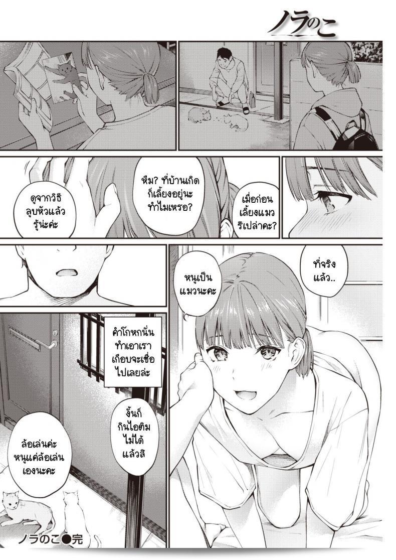 เด็กบนท้องถนน [Hoshi to Lucky] จากเรื่อง Nora no Ko 31