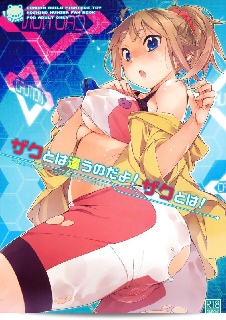 เกมจบแล้ว แต่ความปรารถนาไม่จบ (C87) [Mono × Chro (Kokonoka)] Zaku to wa Chigau no dayo! Zaku to wa! (Gundam Build Fighters Try)