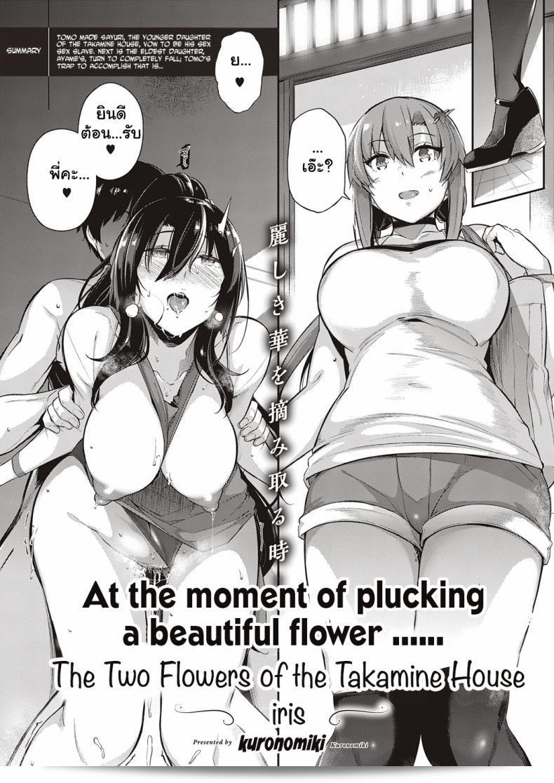 วุ่นรักสาวบ้านทากามิเนะ [Kuronomiki] Takamine-ke no Nirinka ภาค 3: ดอกไม้สองชนิดของบ้านทากามิ