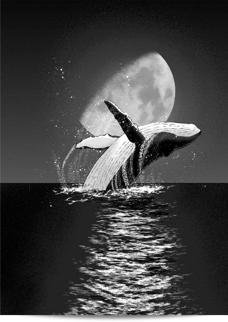 ดวงจันทร์ ปลาวาฬ และการหลบหนี [Mikitoamon] Tsuki to Kujira to Tohiko The Moon, The Whale, and The Escapade (Action Pizazz 2020-04) [อังกฤษ] [ConTL] [ดิจิตอล] 17