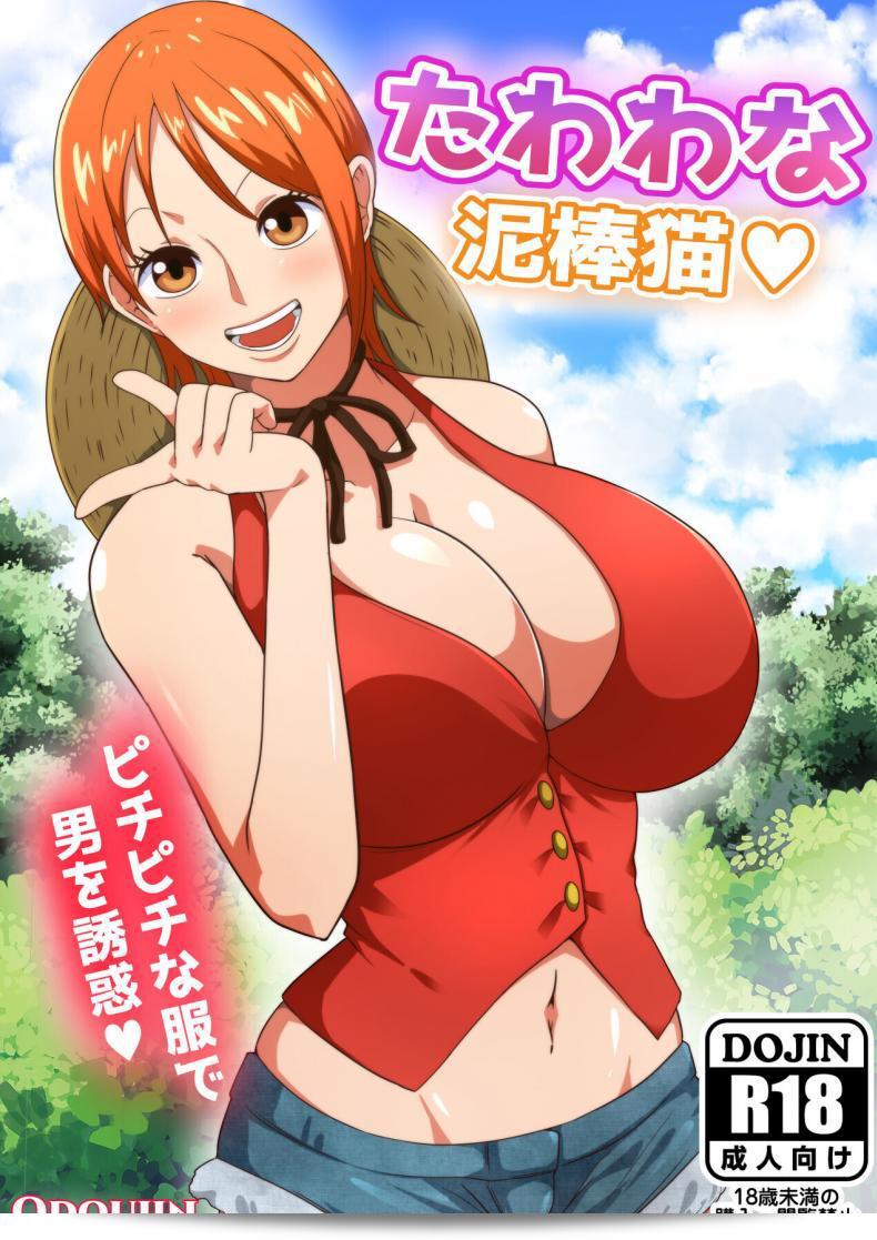 โจรสลัดขโมย "เวอร์จิ้น [Q Doujin] Tawawa na Dorobouneko" คือเรื่องราวเกี่ยวกับขโมยทรัพย์ที่มีรูปร่างเต็มไปด้วยเสน่ห์ (Busty) ในโลกของ "วันพีซ" (One Piece)