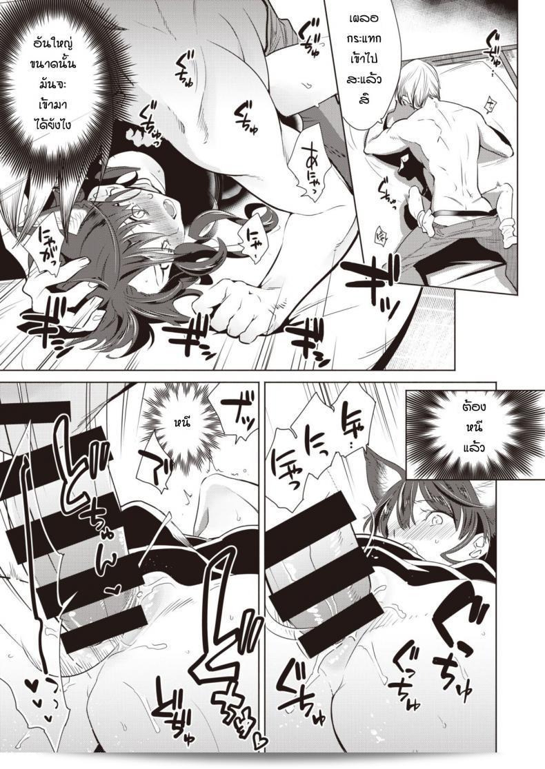 ช่วยเหลือแมวน้อยให้กำจรเงี่ยน [Kayama Kifumi] กับ Kamishiro shonenn ที่เป็นสุนัขจิ้งจอก vs แมว 23