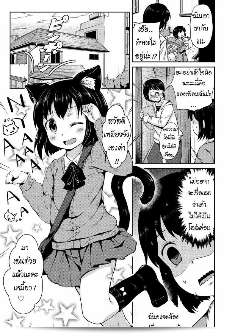 น้องแมว ทามะจัง เยอะ [Broiler] Tama-chan 9