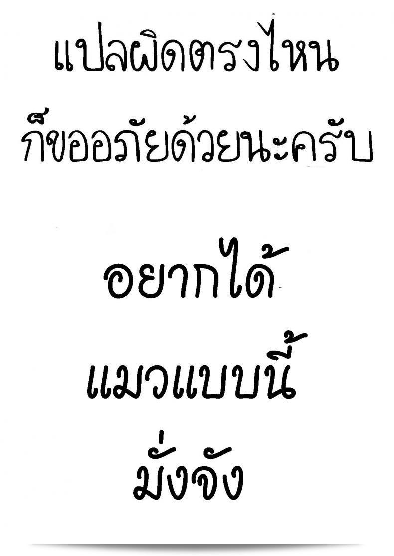 น้องแมว ทามะจัง เยอะ [Broiler] Tama-chan 33