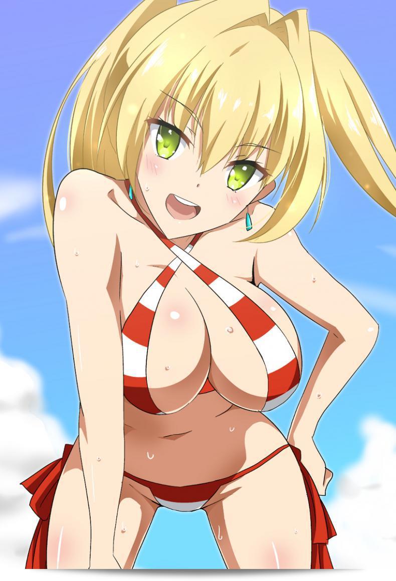 ネロの夜這いと水着姿についてまとめました。