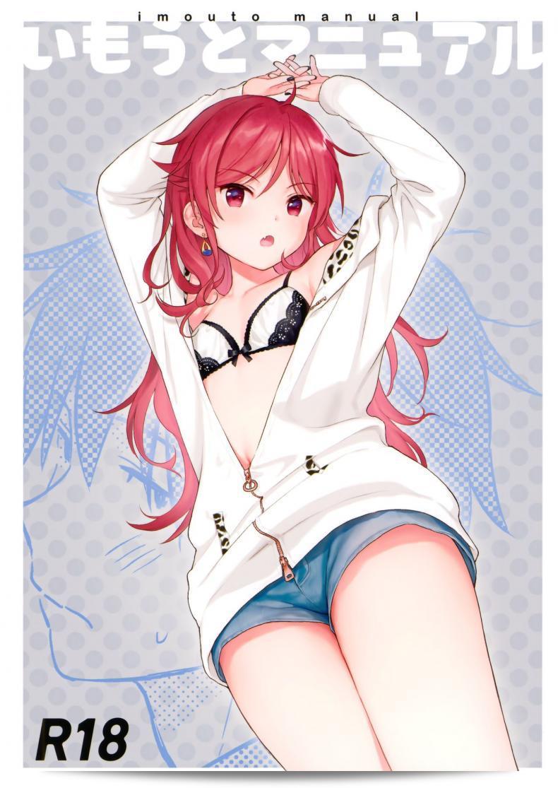 คู่มือสำหรับน้องสาว (AkihabaraDoujinsai 3) [Fuka Fuka (Sekiya Asami)] Imouto Manual