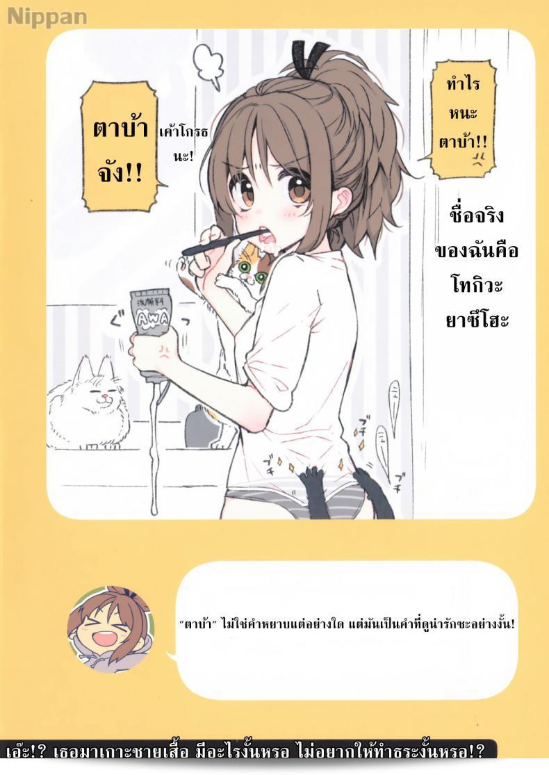 81db42fb7c55ca1c8155369c6bd13033