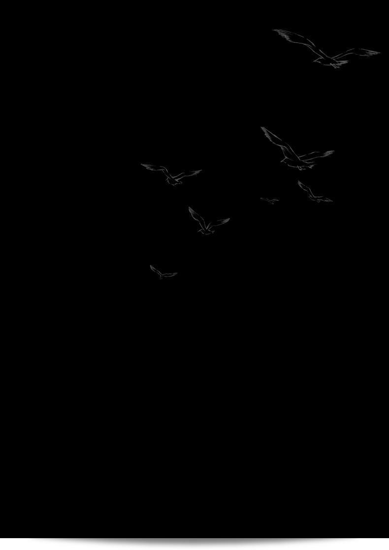 11f5315d0fdebb3df4e4554339df02f2