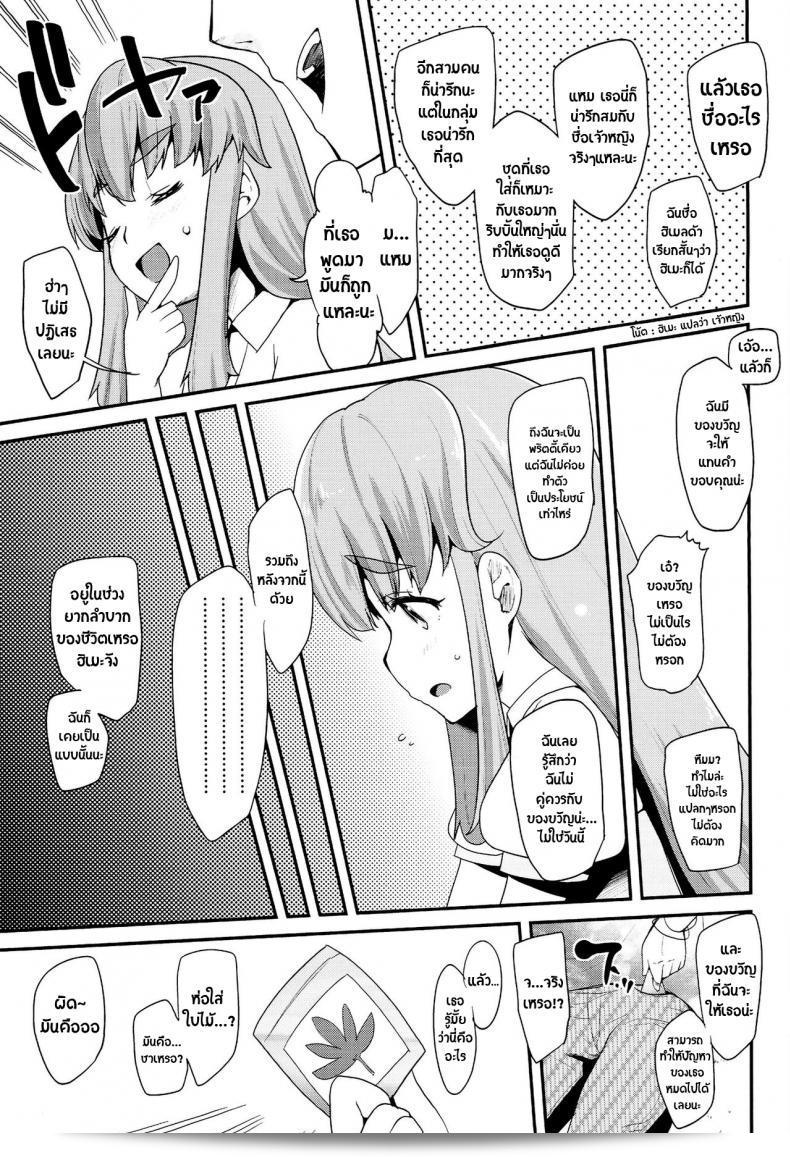สาวน้อยแห่งเวทมนตร์ โดย แมชิมะ รียู [(Maeshima Ryou)] ในเรื่อง Happiness experience (HappinessCharge Precure!) ภาค 1 ที่มีความมีความเป็นมาตราละเอียดอย่างที่สุด 15