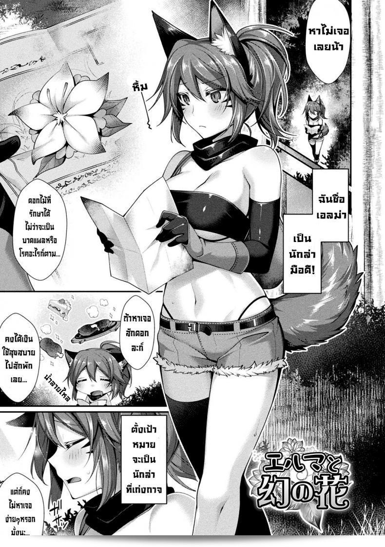 เอรุมะกับดอกไม้ที่ตามหา [Konshin] Eruma to Maboroshi no Hana