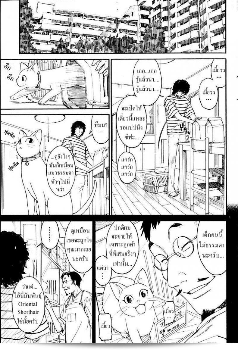 เนเนะ นางแมวสาว [Naruko Hanaharu] Nene ภาค 1 5