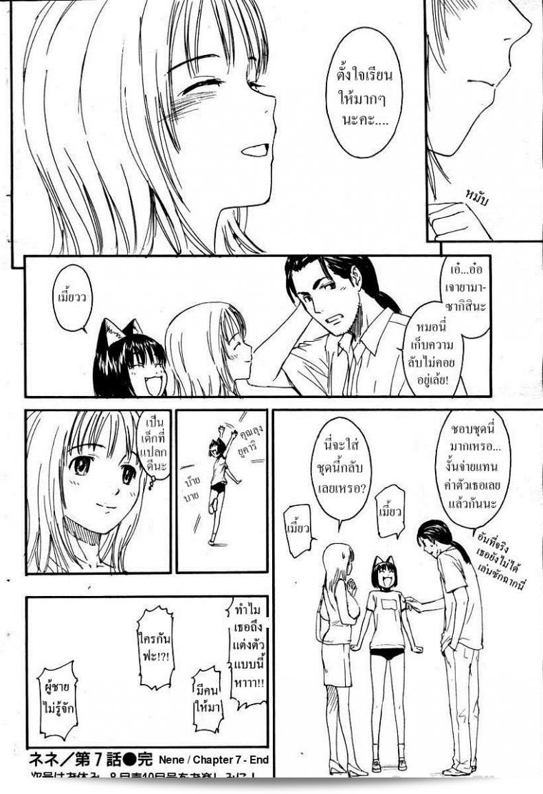เนเนะ นางแมวสาว [Naruko Hanaharu] Nene ภาค 7 ค่ะ 31