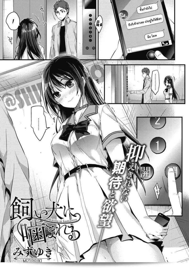 เพียงแค่สั่ง [Mizuyuki] ในการ์ตูน Kaiinu ni Kamareru (COMIC HOTMILK 2017-09)