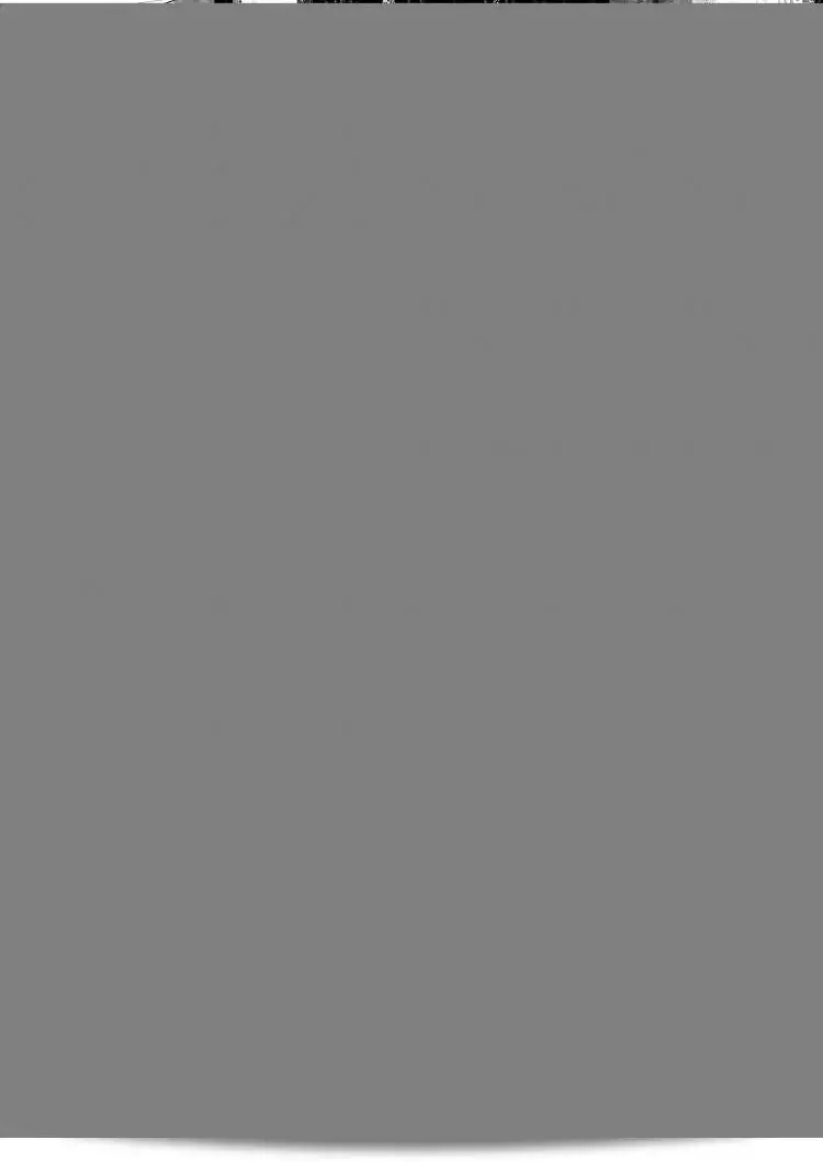 /wp-content/uploads/2024/10/203452546993.webp