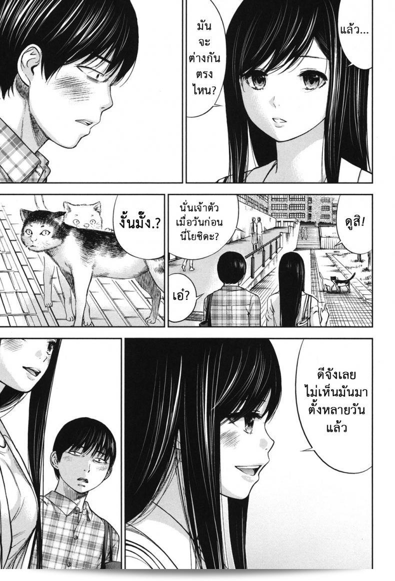 สวัสดีครับ ฉันยินดีที่ได้รู้จัก "Shikishiro Konomi Ayamachi, Hajimemashite" ภาค 18 ครับ โปรดติดตามเรื่องราวที่น่าตื่นเต้นไปกับเรื่องราวที่น่าตื่นตาตื่นใจของเรื่องนี้ครับ 25