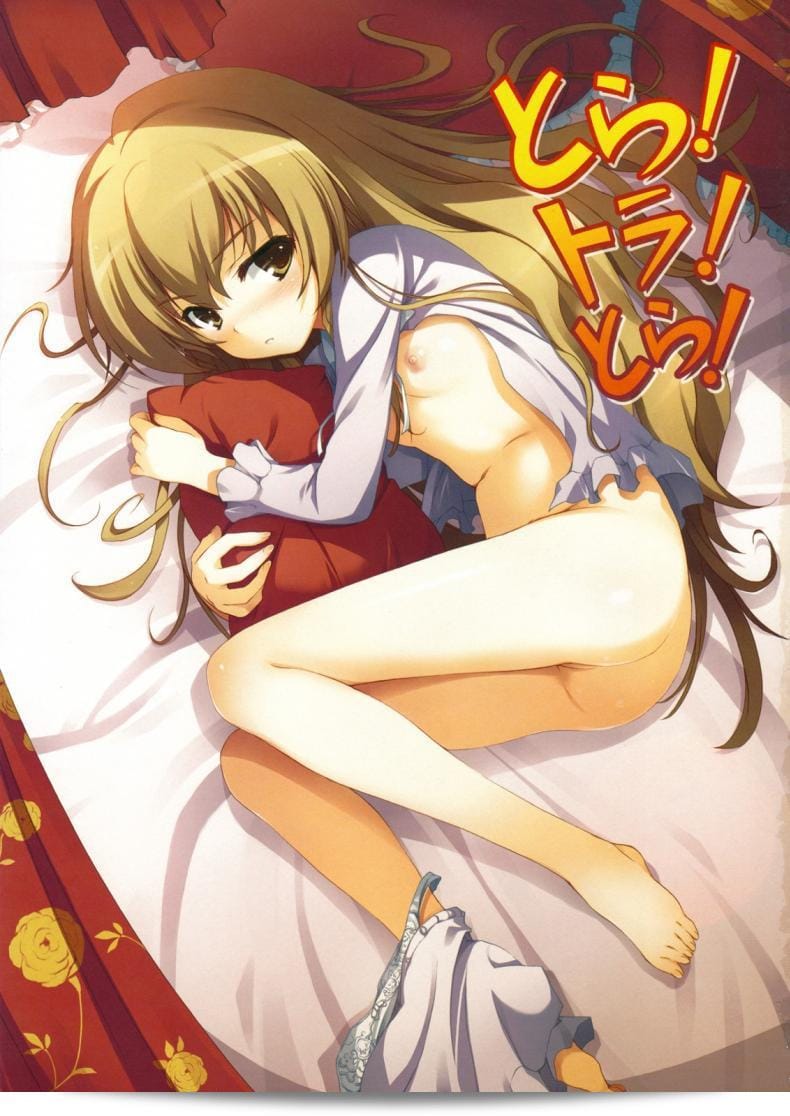 ทำแบบนี้เพื่อลดความตื่นเต้นลงนะ (C75) [MugenKiDou A (Tomose Shunsaku)] Tora! Tora! Tora! (Toradora!) 3