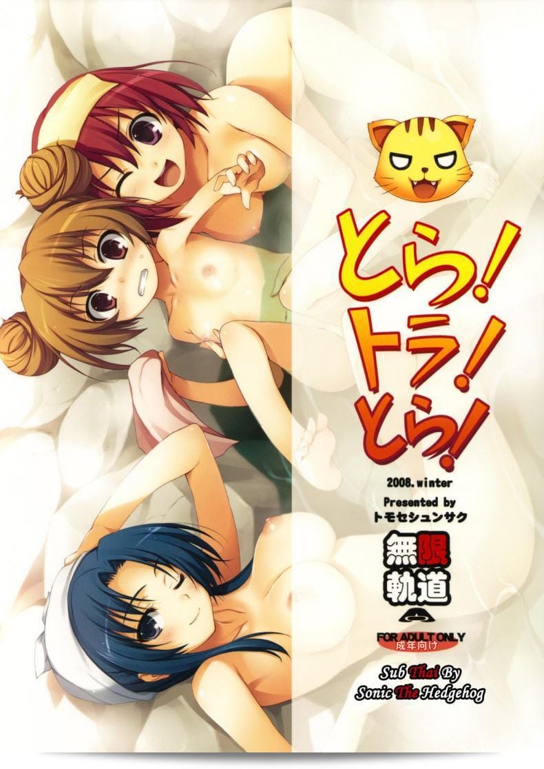 ทำแบบนี้เพื่อลดความตื่นเต้นลงนะ (C75) [MugenKiDou A (Tomose Shunsaku)] Tora! Tora! Tora! (Toradora!) 43
