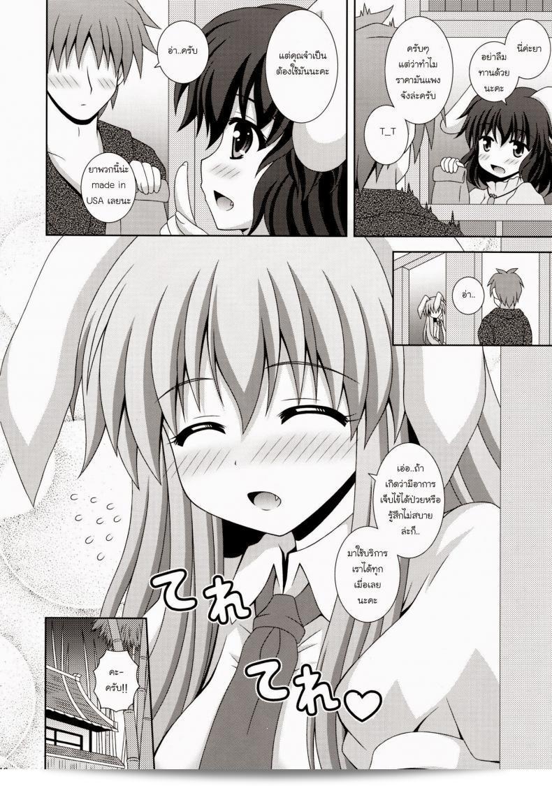 พยาบาลหูกระต่าย (HARUCC17) [ฉันคือ (นากานะ ซายุอิ)] อุดองเก่งบาริมัส (โทโฮ โปรเจคต์) 27
