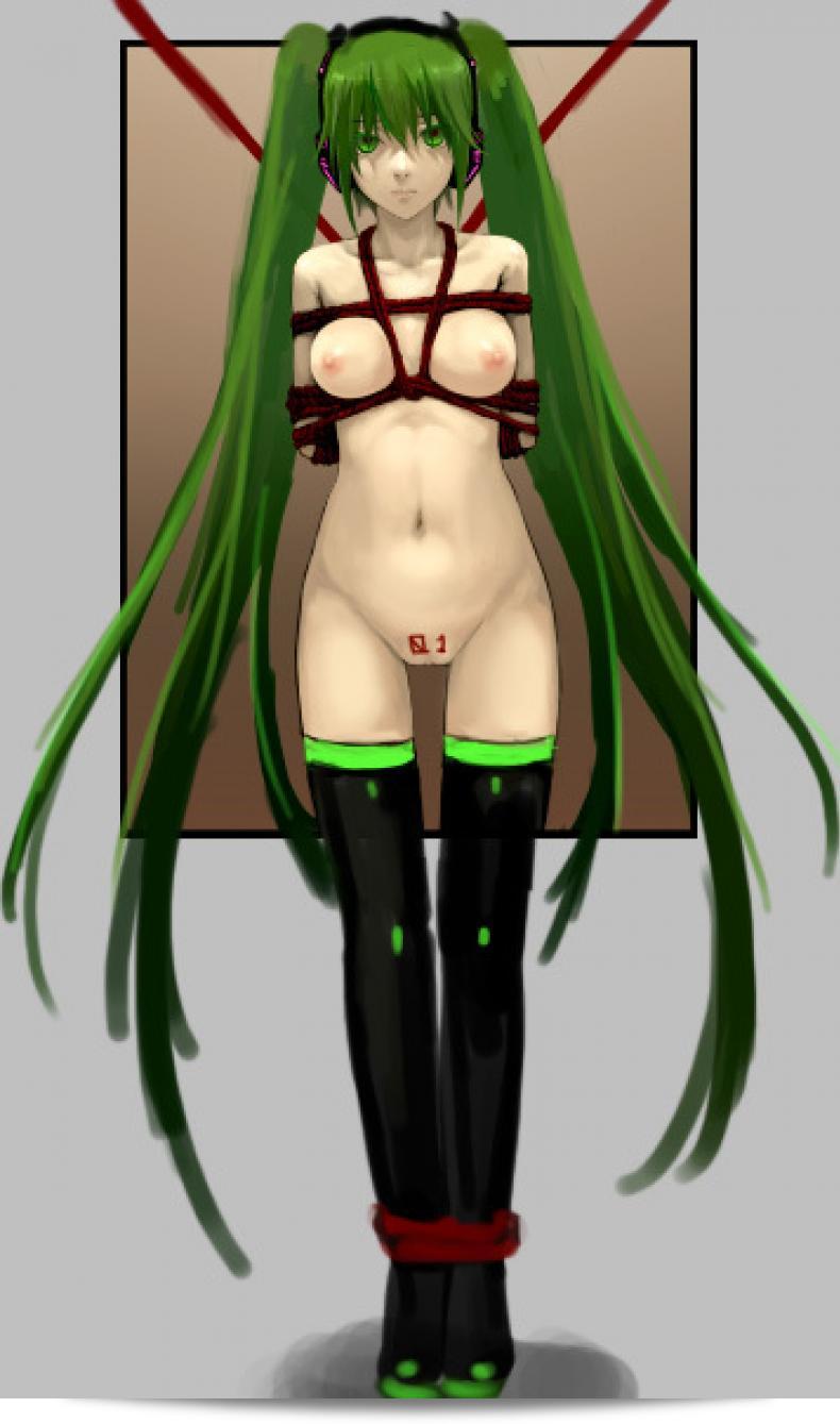 หนูมิกุ ได้พบกับการต่อสู้ที่รุนแรง [As109] Kinbaku Hatsune Ningyou (Vocaloid) 23