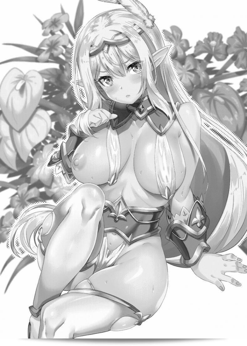 สาวเอลฟ์ที่มีเจ้าหน้าที่ตัณหา [Makuu Gundan (Shinozuka Atsuto)] Sukebe Elf Tanbouki ภาค 2 3